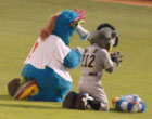 0618_047.jpg (5565 バイト)