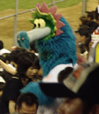 0618_066.jpg (8242 バイト)