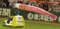 0618_080.jpg (7809 バイト)