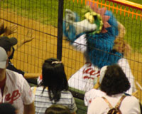 0627_070.jpg (13610 バイト)