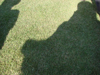 1123_042.jpg (29154 バイト)