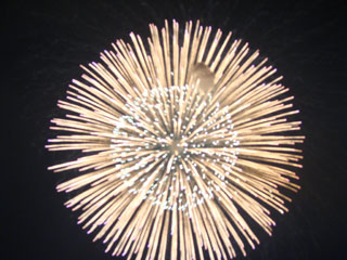 2008kurehanabi06.jpg (26875 oCg)