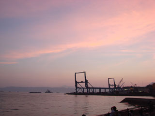 2008kurehanabi08.jpg (10191 oCg)
