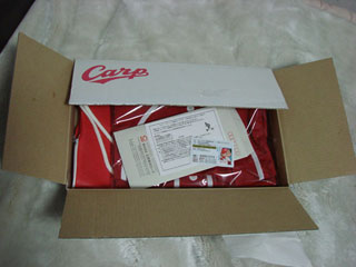 carp2008fun.jpg (15887 oCg)